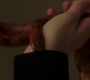 Filename=SPN_1887.jpg
Filesize=35KiB
Dimensions=1280x718
Date added=Mar 18, 2019 SPN_1887.jpg