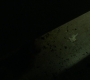 Filename=SPN_0073.jpg
Filesize=34KiB
Dimensions=1280x718
Date added=Mar 23, 2019 SPN_0073.jpg