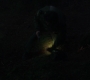 Filename=SPN_0115.jpg
Filesize=37KiB
Dimensions=1280x718
Date added=Mar 23, 2019 SPN_0115.jpg