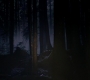 Filename=SPN_0117.jpg
Filesize=38KiB
Dimensions=1280x718
Date added=Mar 23, 2019 SPN_0117.jpg