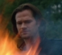 Filename=SPN_1773.jpg
Filesize=38KiB
Dimensions=1280x718
Date added=Apr 14, 2019 SPN_1773.jpg