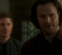 Filename=SPN_1259.jpg
Filesize=39KiB
Dimensions=1280x718
Date added=Apr 21, 2019 SPN_1259.jpg