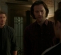 Filename=SPN_1270.jpg
Filesize=46KiB
Dimensions=1280x718
Date added=Apr 21, 2019 SPN_1270.jpg