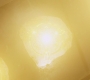 Filename=SPN_1554.jpg
Filesize=30KiB
Dimensions=1280x718
Date added=Apr 21, 2019 SPN_1554.jpg