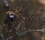 Filename=SPN_1256.jpg
Filesize=148KiB
Dimensions=1280x718
Date added=Apr 28, 2019 SPN_1256.jpg