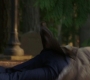 Filename=SPN_1257.jpg
Filesize=46KiB
Dimensions=1280x718
Date added=Apr 28, 2019 SPN_1257.jpg