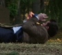 Filename=SPN_1258.jpg
Filesize=72KiB
Dimensions=1280x718
Date added=Apr 28, 2019 SPN_1258.jpg