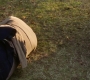 Filename=SPN_1261.jpg
Filesize=144KiB
Dimensions=1280x718
Date added=Apr 28, 2019 SPN_1261.jpg