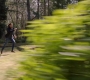 Filename=SPN_1318.jpg
Filesize=95KiB
Dimensions=1280x718
Date added=Apr 28, 2019 SPN_1318.jpg