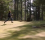 Filename=SPN_1322.jpg
Filesize=108KiB
Dimensions=1280x718
Date added=Apr 28, 2019 SPN_1322.jpg