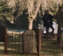 Filename=SPN_1339.jpg
Filesize=86KiB
Dimensions=1280x718
Date added=Apr 28, 2019 SPN_1339.jpg