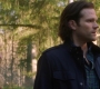 Filename=SPN_1353.jpg
Filesize=81KiB
Dimensions=1280x718
Date added=Apr 28, 2019 SPN_1353.jpg