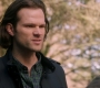 Filename=SPN_1429.jpg
Filesize=68KiB
Dimensions=1280x718
Date added=Apr 28, 2019 SPN_1429.jpg