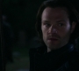 Filename=SPN_1892.jpg
Filesize=30KiB
Dimensions=1280x718
Date added=Apr 28, 2019 SPN_1892.jpg