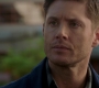 Filename=SPN_2113.jpg
Filesize=100KiB
Dimensions=1906x1072
Date added=Oct 16, 2019 SPN_2113.jpg
