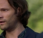 Filename=SPN_2160.jpg
Filesize=95KiB
Dimensions=1906x1072
Date added=Oct 16, 2019 SPN_2160.jpg