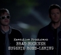 Filename=SPN_0117.jpg
Filesize=89KiB
Dimensions=1906x1072
Date added=Oct 22, 2019 SPN_0117.jpg