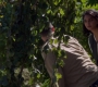 Filename=SPN_0229.jpg
Filesize=222KiB
Dimensions=1906x1072
Date added=Oct 22, 2019 SPN_0229.jpg