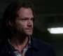 Filename=SPN_0306.jpg
Filesize=93KiB
Dimensions=1906x1072
Date added=Oct 22, 2019 SPN_0306.jpg