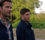 Filename=SPN_0866.jpg
Filesize=151KiB
Dimensions=1906x1072
Date added=Oct 23, 2019 SPN_0866.jpg