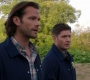 Filename=SPN_0868.jpg
Filesize=163KiB
Dimensions=1906x1072
Date added=Oct 23, 2019 SPN_0868.jpg