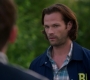 Filename=SPN_0887.jpg
Filesize=83KiB
Dimensions=1906x1072
Date added=Oct 23, 2019 SPN_0887.jpg