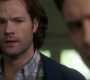 Filename=SPN_1236.jpg
Filesize=109KiB
Dimensions=1906x1072
Date added=Oct 24, 2019 SPN_1236.jpg