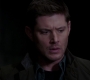 Filename=SPN_0140.jpg
Filesize=68KiB
Dimensions=1912x1072
Date added=Oct 29, 2019 SPN_0140.jpg