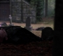 Filename=SPN_0224.jpg
Filesize=102KiB
Dimensions=1912x1072
Date added=Oct 29, 2019 SPN_0224.jpg