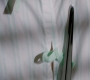 Filename=SPN_0640.jpg
Filesize=77KiB
Dimensions=1912x1072
Date added=Oct 30, 2019 SPN_0640.jpg