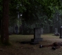 Filename=SPN_0691.jpg
Filesize=300KiB
Dimensions=1912x1072
Date added=Oct 30, 2019 SPN_0691.jpg