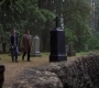 Filename=SPN_0695.jpg
Filesize=304KiB
Dimensions=1912x1072
Date added=Oct 30, 2019 SPN_0695.jpg