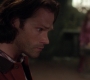 Filename=SPN_1153.jpg
Filesize=110KiB
Dimensions=1912x1072
Date added=Nov 03, 2019 SPN_1153.jpg