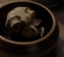 Filename=SPN_1184.jpg
Filesize=81KiB
Dimensions=1912x1072
Date added=Nov 03, 2019 SPN_1184.jpg
