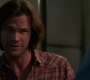 Filename=SPN_0292.jpg
Filesize=93KiB
Dimensions=1912x1072
Date added=Nov 10, 2019 SPN_0292.jpg