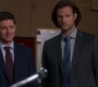 Filename=SPN_0933.jpg
Filesize=101KiB
Dimensions=1912x1072
Date added=Nov 12, 2019 SPN_0933.jpg