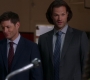 Filename=SPN_0968.jpg
Filesize=86KiB
Dimensions=1912x1072
Date added=Nov 12, 2019 SPN_0968.jpg