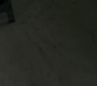 Filename=SPN_1019.jpg
Filesize=94KiB
Dimensions=1912x1072
Date added=Nov 12, 2019 SPN_1019.jpg