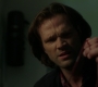 Filename=SPN_1239.jpg
Filesize=69KiB
Dimensions=1912x1072
Date added=Nov 13, 2019 SPN_1239.jpg