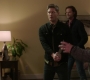 Filename=SPN_1279.jpg
Filesize=98KiB
Dimensions=1912x1072
Date added=Nov 13, 2019 SPN_1279.jpg
