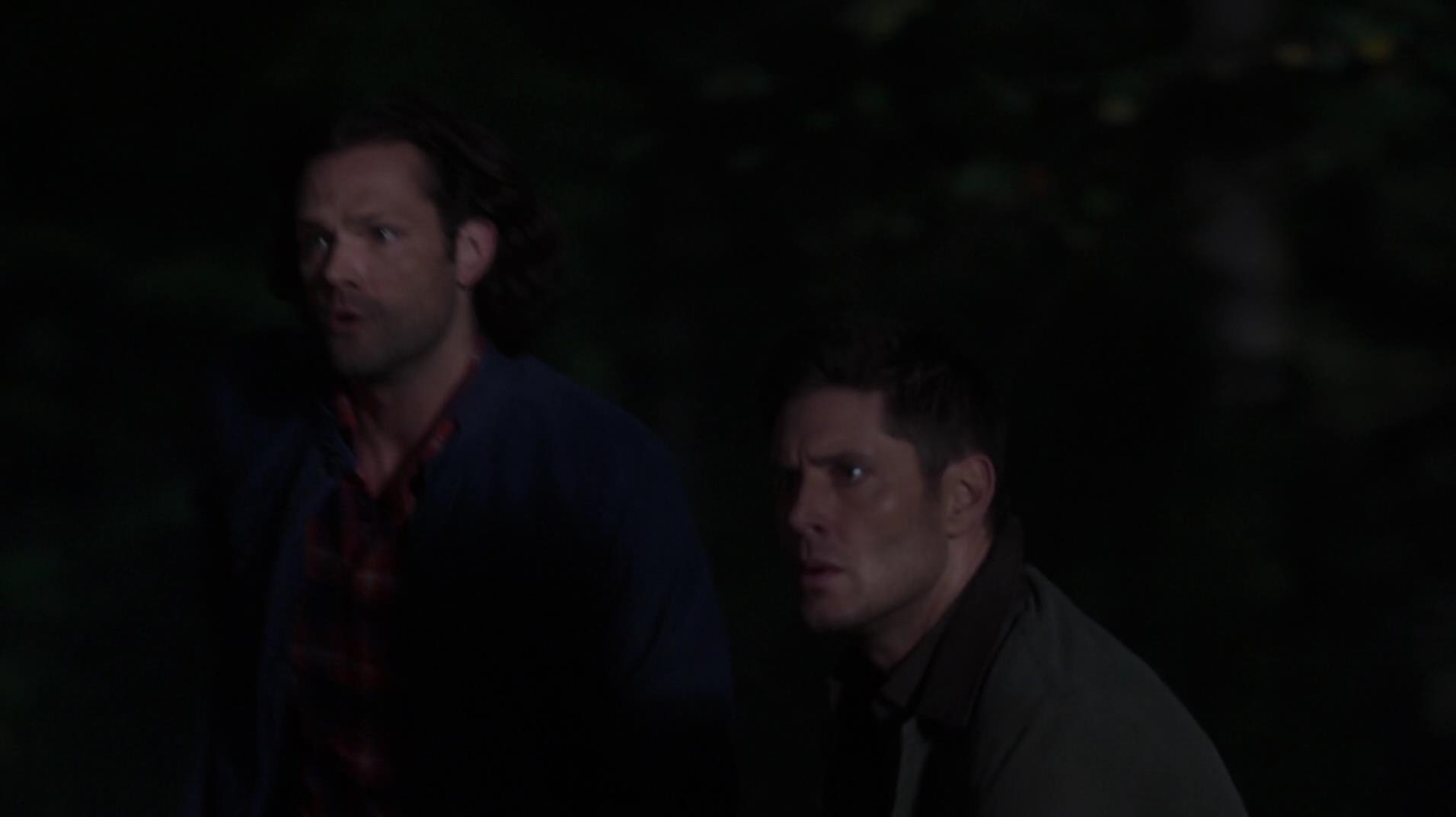 SPN_0915.jpg