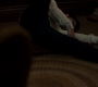 SPN_1112.jpg