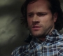 SPN_1338.jpg