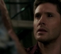 SPN_1389.jpg