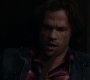 SPN_1441.jpg