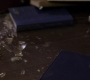 SPN_0051.jpg