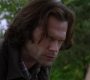 SPN_0775.jpg