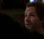 Filename=SPN_0361.jpg
Filesize=69KiB
Dimensions=1912x1072
Date added=Sep 07, 2020 SPN_0361.jpg