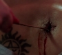 Filename=SPN_0403.jpg
Filesize=93KiB
Dimensions=1912x1072
Date added=Sep 07, 2020 SPN_0403.jpg