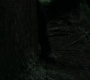Filename=SPN_0473.jpg
Filesize=109KiB
Dimensions=1912x1072
Date added=Sep 09, 2020 SPN_0473.jpg